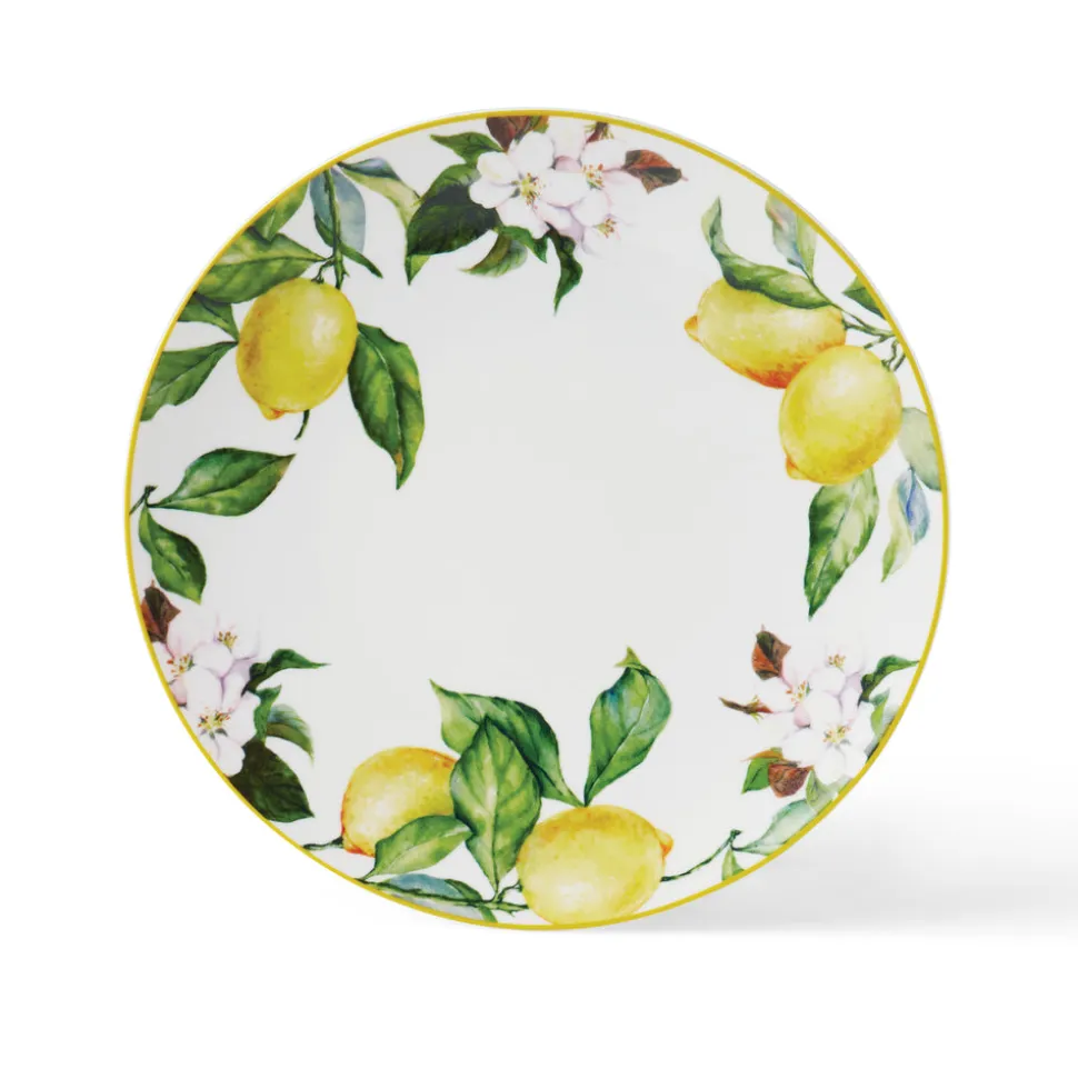 Carmen 6 Piece Dinner Plate Set